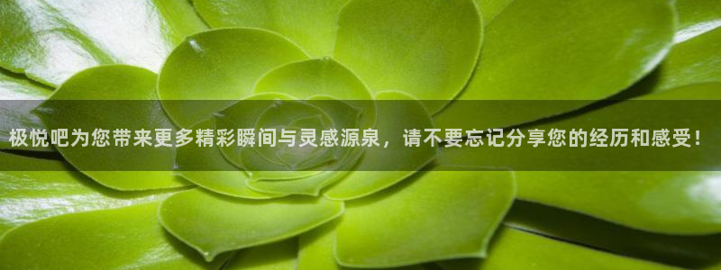 华信娱乐app下载地址