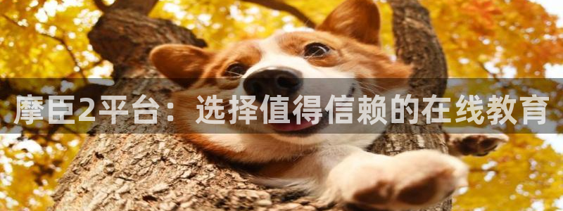 华信娱乐,apk.1