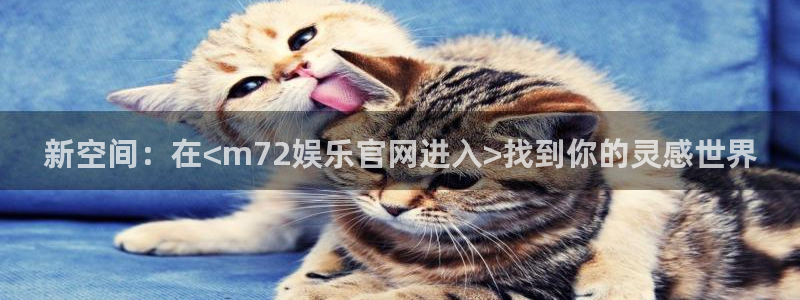 南宫华信娱乐