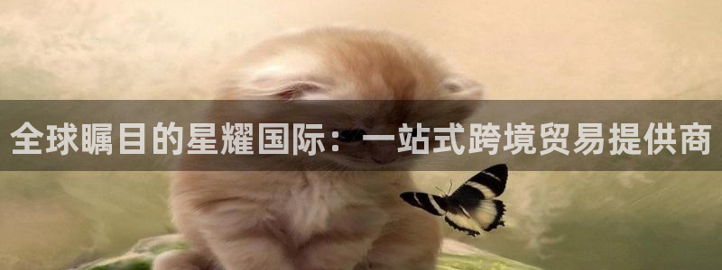 华信娱乐pg