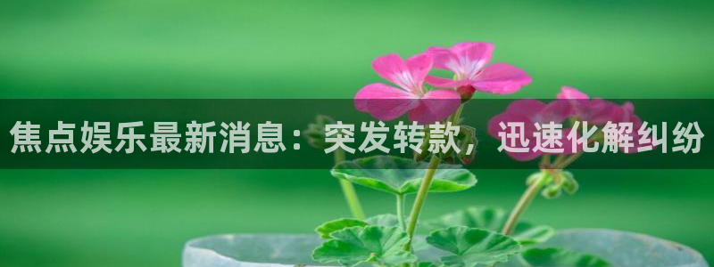壹号电子娱乐app下载安装