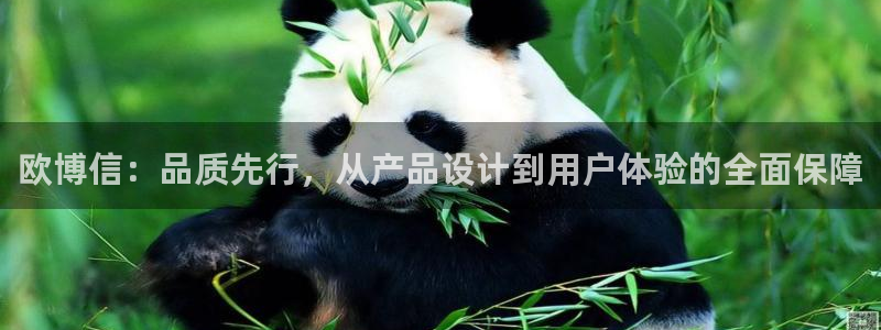 华信娱乐官网下载