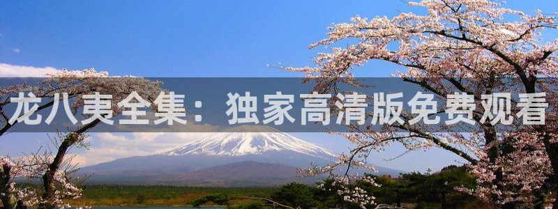 华信娱乐app官网下载