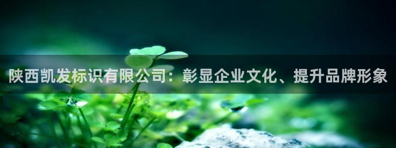 华信娱乐电子游戏