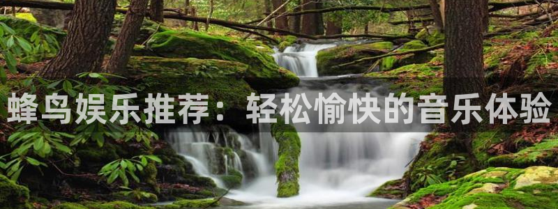 华信娱乐加拿大在线预测