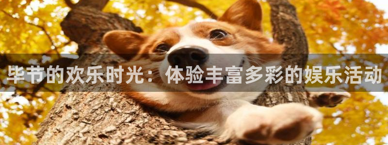 华信娱乐是什么平台