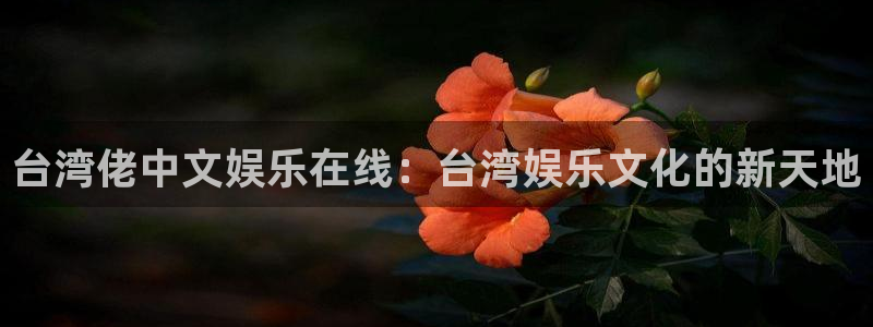华信娱乐网页版
