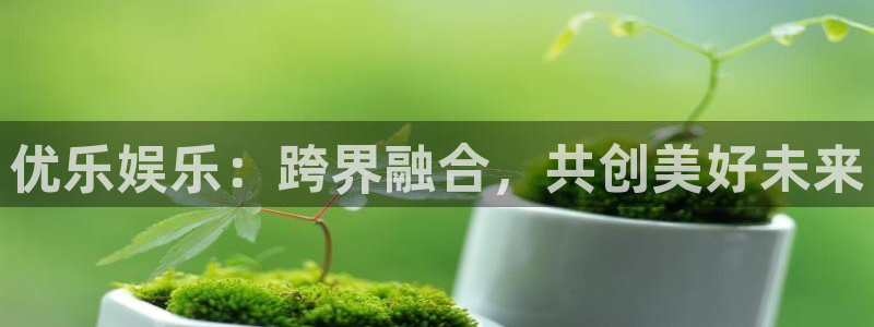 华信娱乐app下载安装