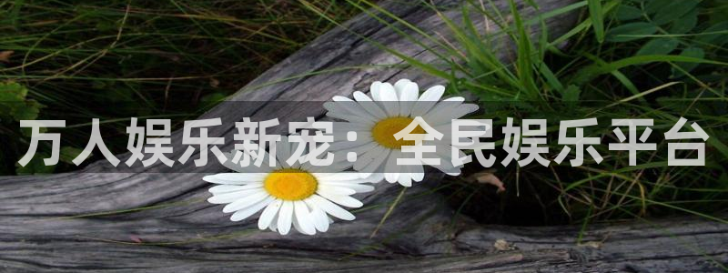 华信娱乐是什么