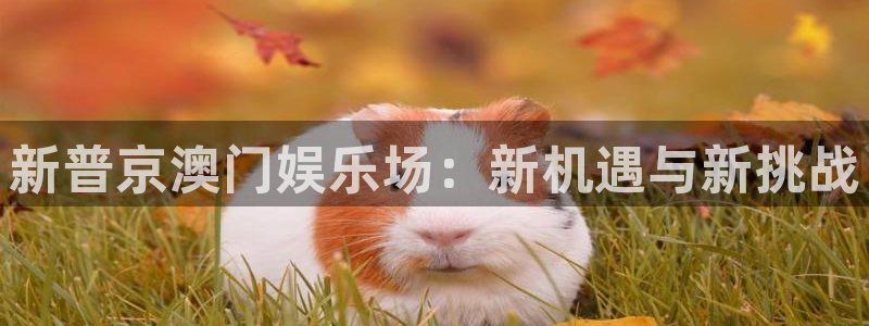 壹号app下载