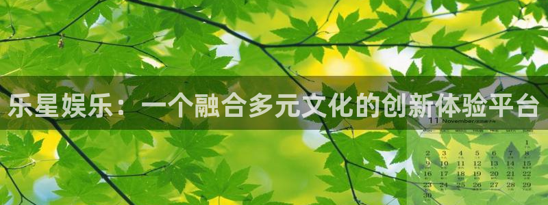 华信娱乐