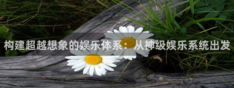 华信娱乐游戏官网入口