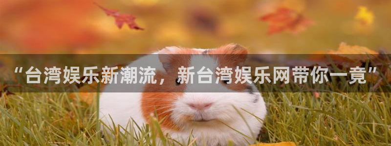 华信娱乐平台官网登录入口