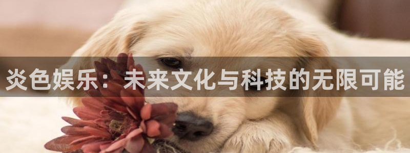 华信娱乐.ccmpc登录