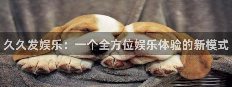 华信娱乐quan28.cc：久久发娱乐：一个全方位娱乐体验的新模式
