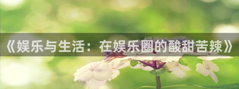 壹号下载安装
