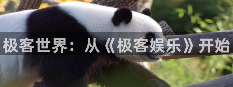 华信娱乐下载链接