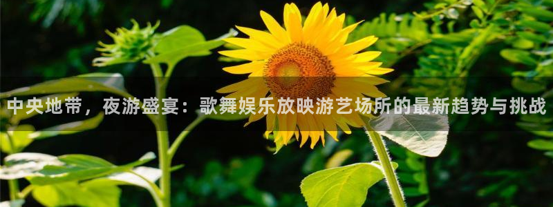 壹号电子娱乐app下载安装