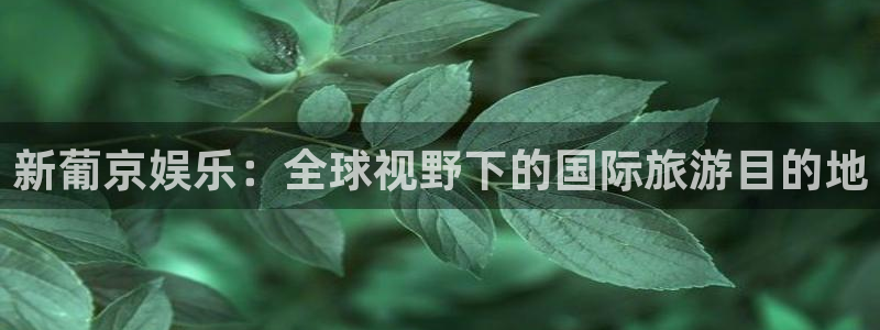壹号玩家app下载：新葡京娱乐：全球视野下的国际旅游目的地