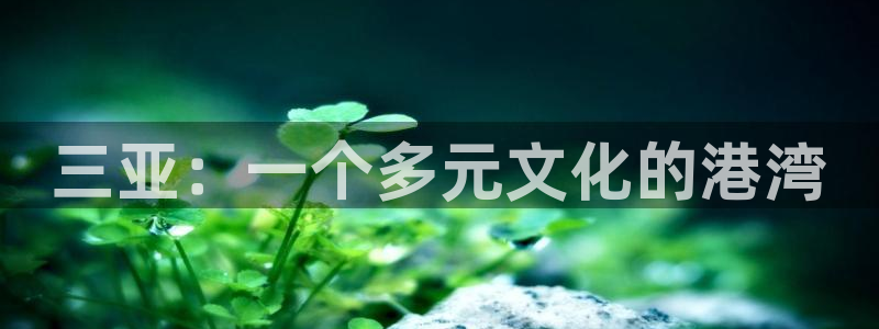 华信娱乐官网版下载链接：三亚：一个多元文化的港湾